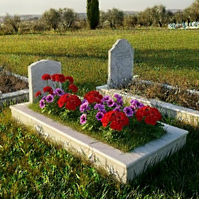 Rulo Çim ve Mevsim Çiçekleri Ekimi1